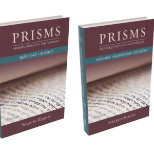 Prisms - Perspectives on the Parasha