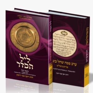 סט ליל סדר + ערב פסח שחל בשבת (סט מיוחד לשנה זו)